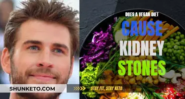 Vegan Diets: Kidney Stone Risk and Prevention