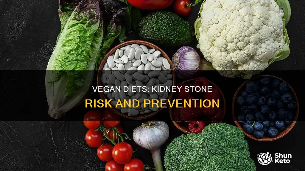 does a vegan diet cause kidney stones