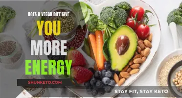 Vegan Diets: Energy Boost or Myth?