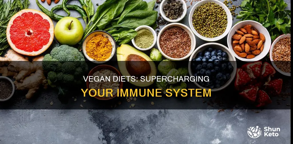 does a vegan diet help immune system