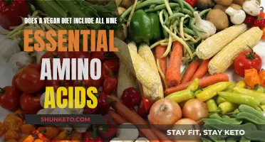 Vegan Diets: Getting All Your Essential Amino Acids