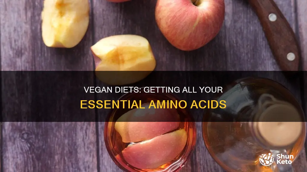 does a vegan diet include all nine essential amino acids