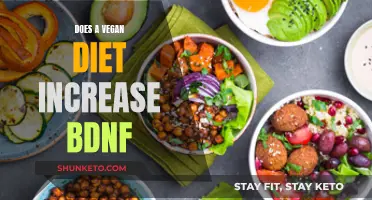 Vegan Diet and BDNF: A Link to Brain Health?