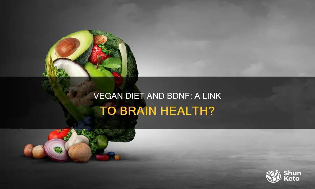 does a vegan diet increase bdnf