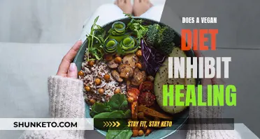 Vegan Diets: Impeding or Enhancing Healing Process?