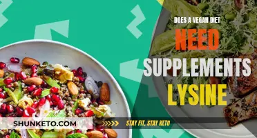 Vegan Diets: Lysine Supplements, Are They Necessary?