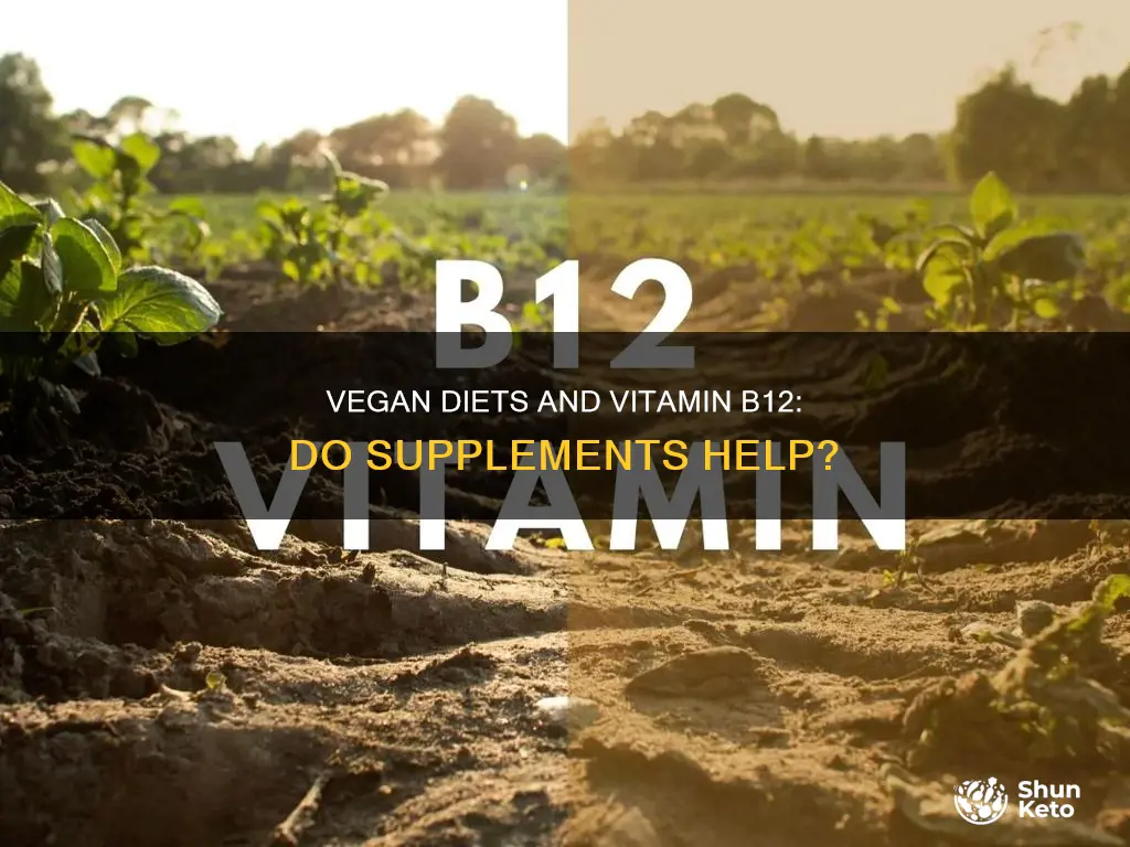 does a vegan diet need supplements vitamin b12