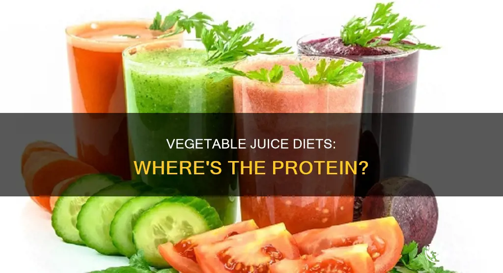 does a vegetable only juice diet have enough protein