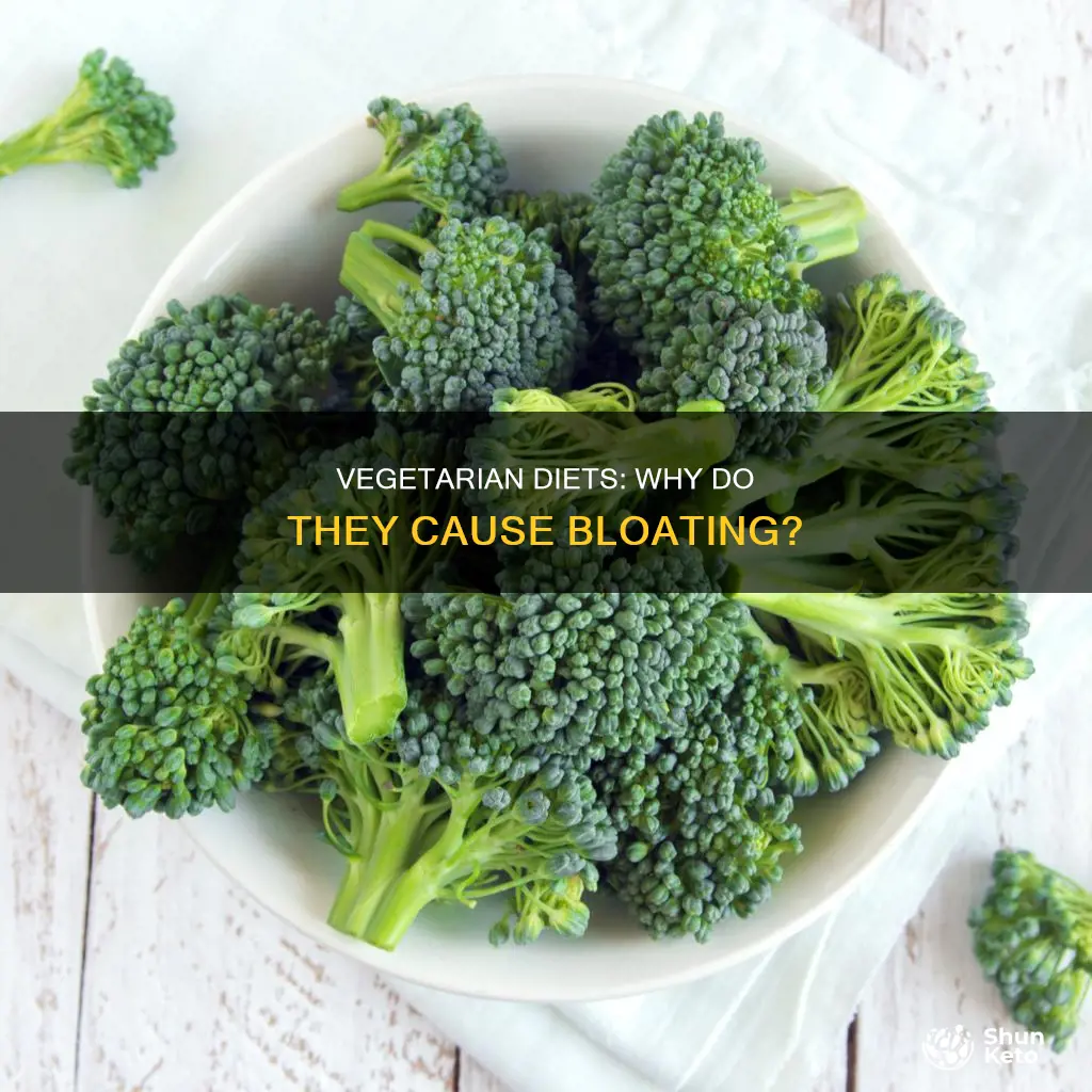 does a vegetarian diet cause bloating