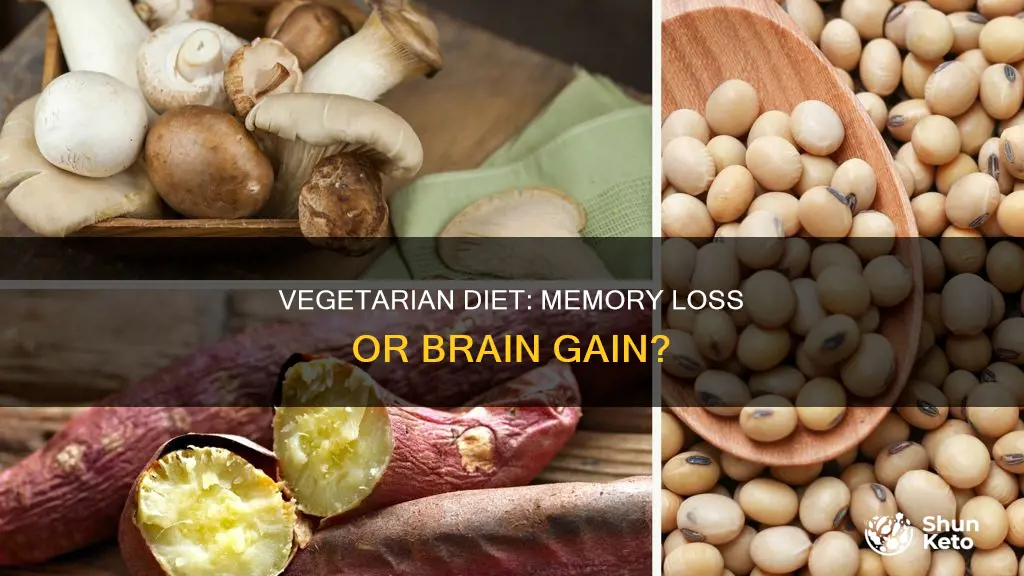 does a vegetarian diet cause poor memory loss