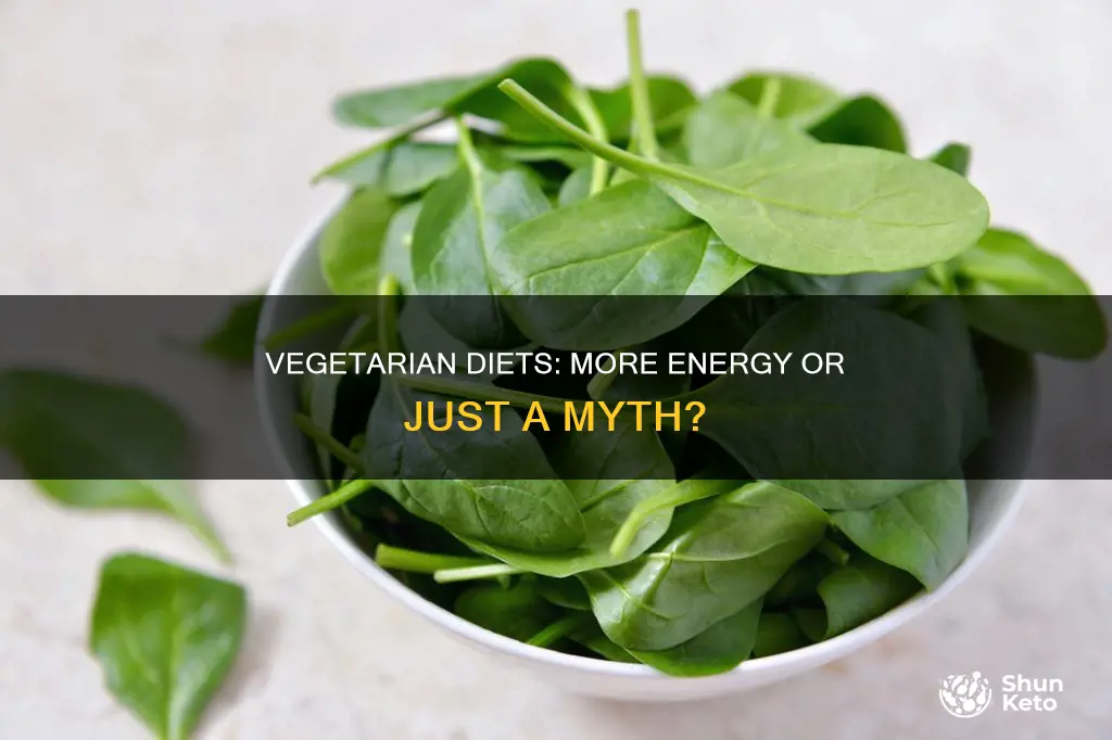 does a vegetarian diet give you more energy
