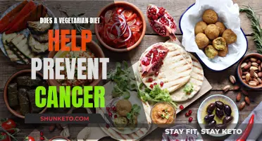 Vegetarian Diets: Cancer Prevention and Healthy Living