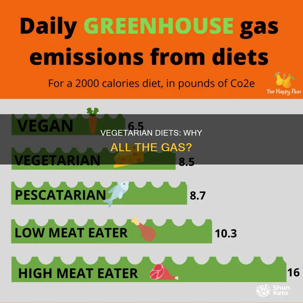 does a vegetarian diet make you gassy