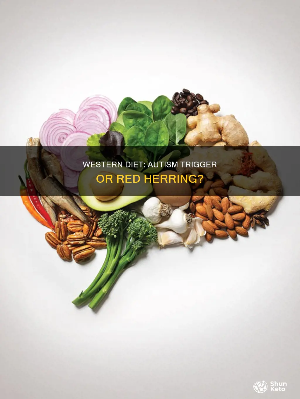 does a western diet cause autism