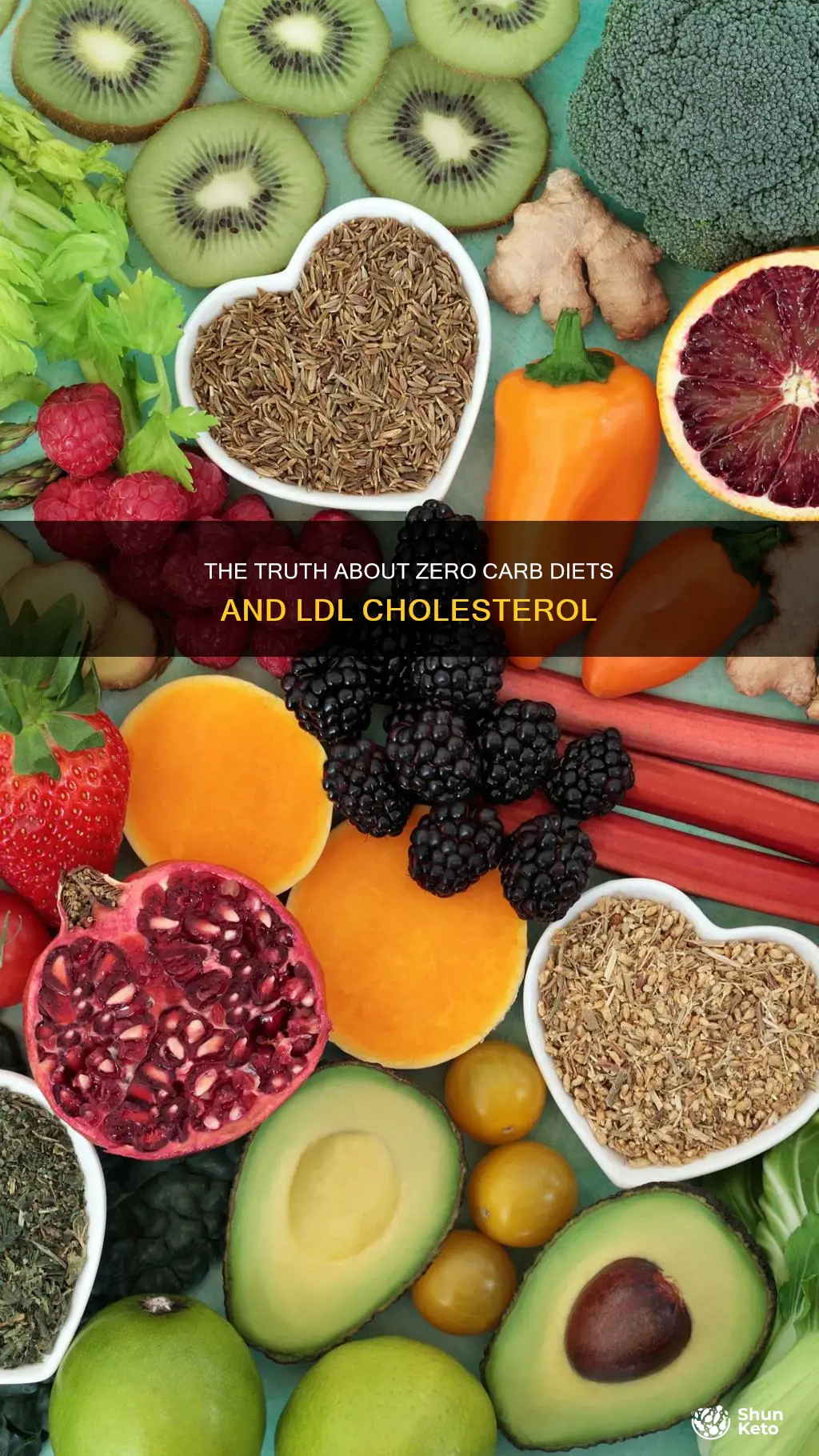does a zero carb diet increase ldl cholesterol
