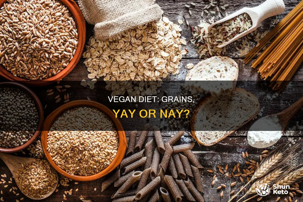 does aa vegan diet include grains