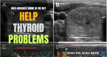Iodine-Rich Diet: Thyroid Health and Function