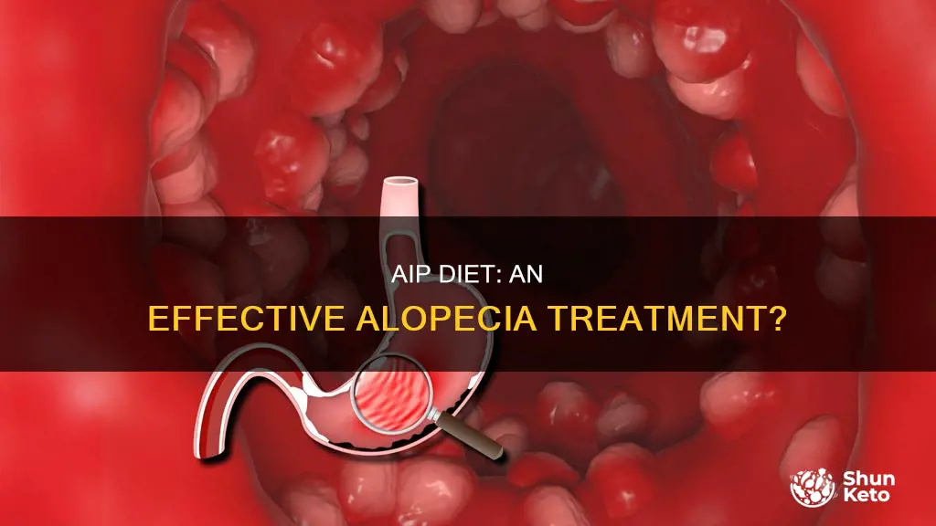 does aip diet help alopecia