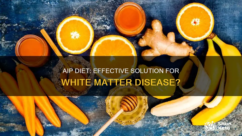 does aip diet help white matter disease