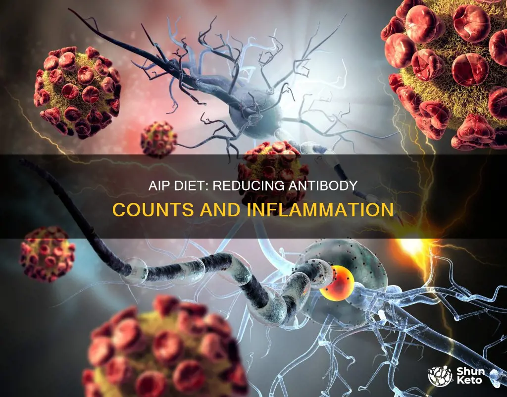 does aip diet reduce antibodies count