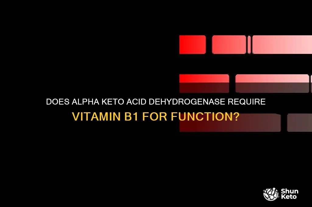 does alpha keto acid dh require b1