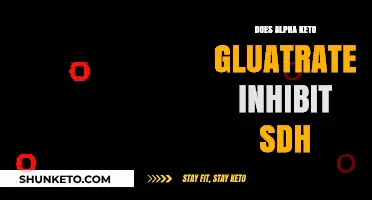 Does Alpha-Keto Glutarate Inhibit SDH? Exploring Metabolic Interactions
