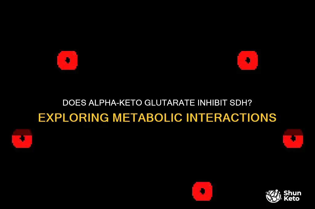 does alpha keto gluatrate inhibit sdh
