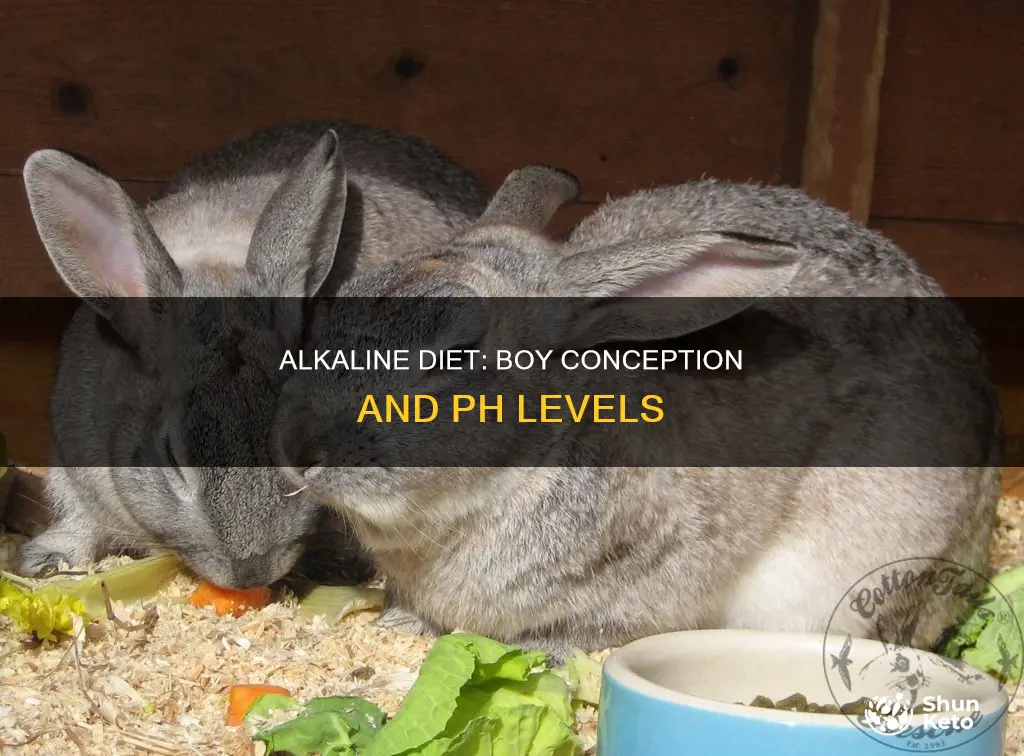does an alkaline diet help conceive a boy