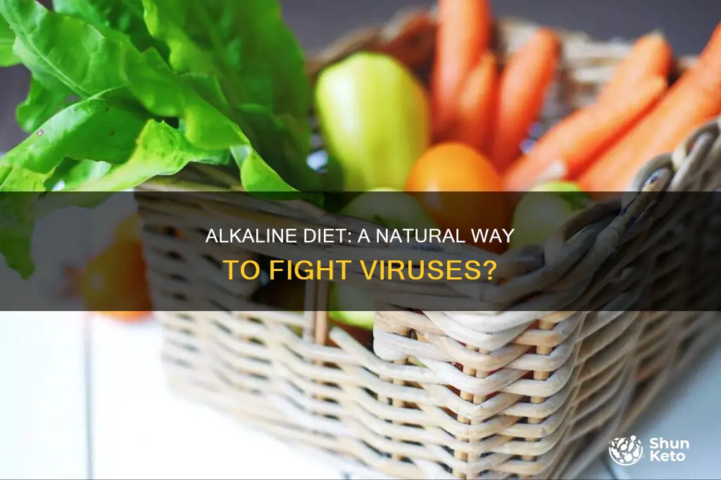does an alkaline diet help fight viruses