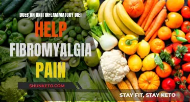 Anti-Inflammatory Diet: Reducing Fibromyalgia Pain