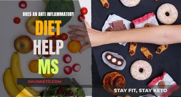 Anti-Inflammatory Diet: Managing MS Symptoms and Inflammation