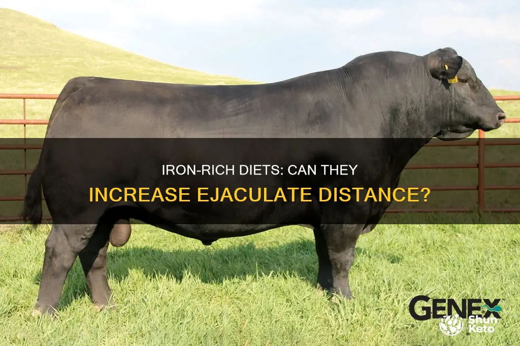 does an iron rich diet make you cum farther