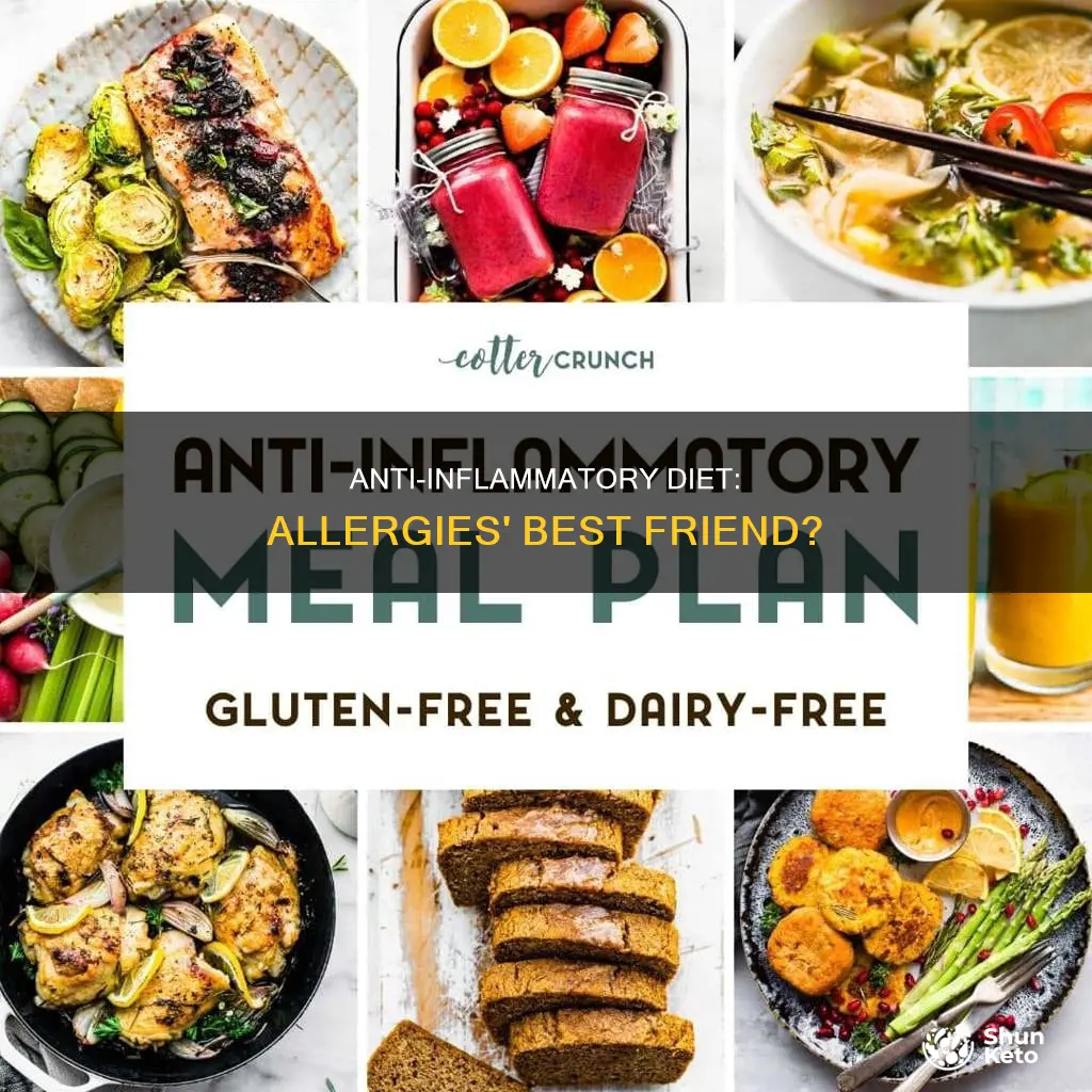 does anti inflammatory diet help allergies