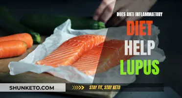 Anti-Inflammatory Diets: A Natural Remedy for Lupus Symptoms?