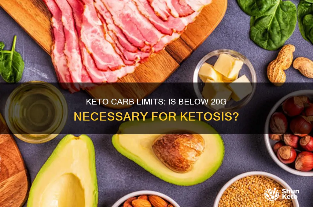 does anyone need to go below 20g for keto