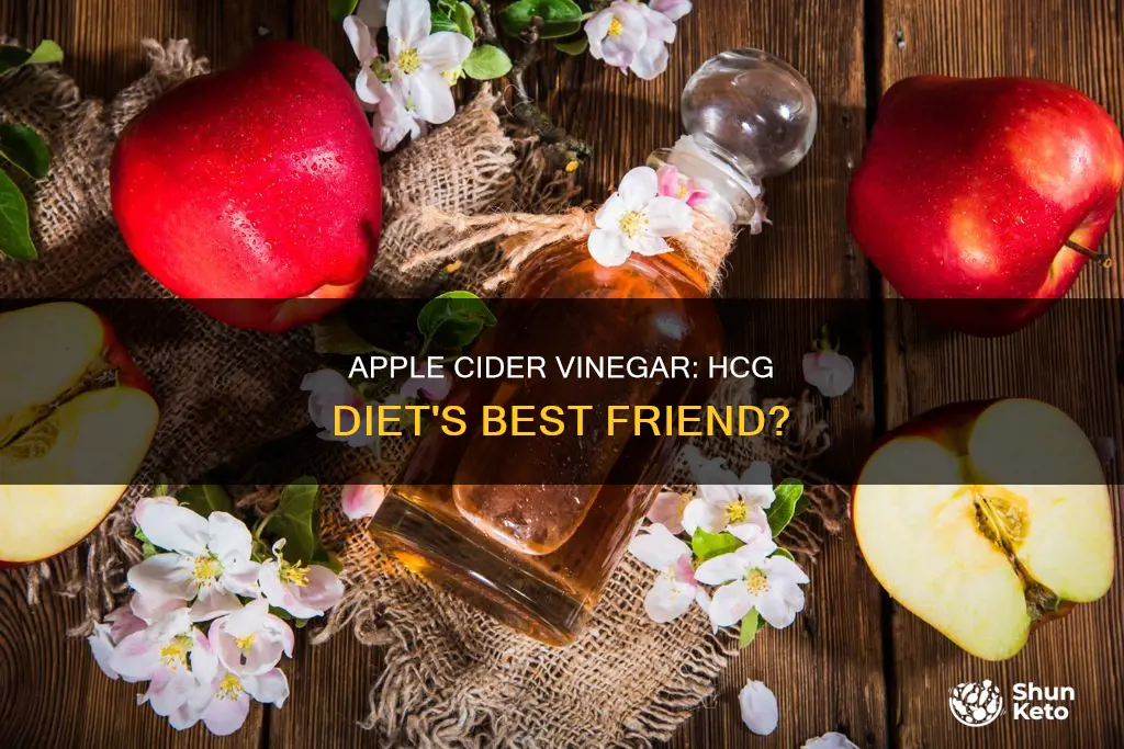 does apple cider vinegar help with hcg diet