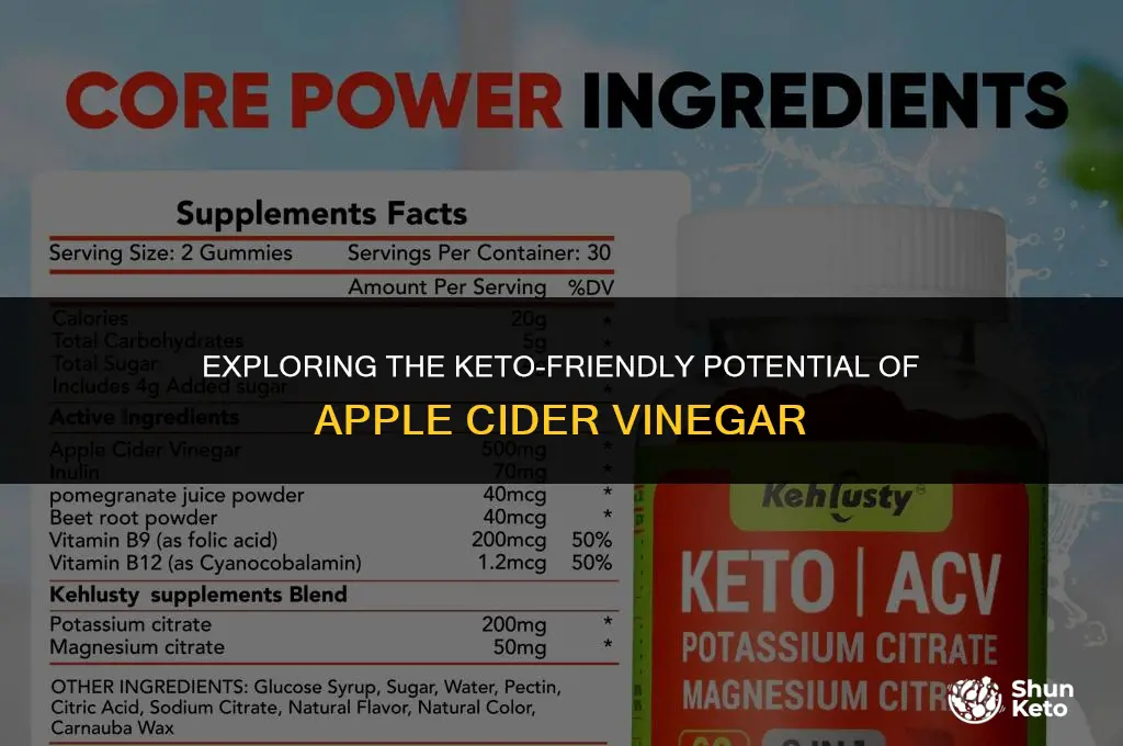does apple cider vinegar keto friendly