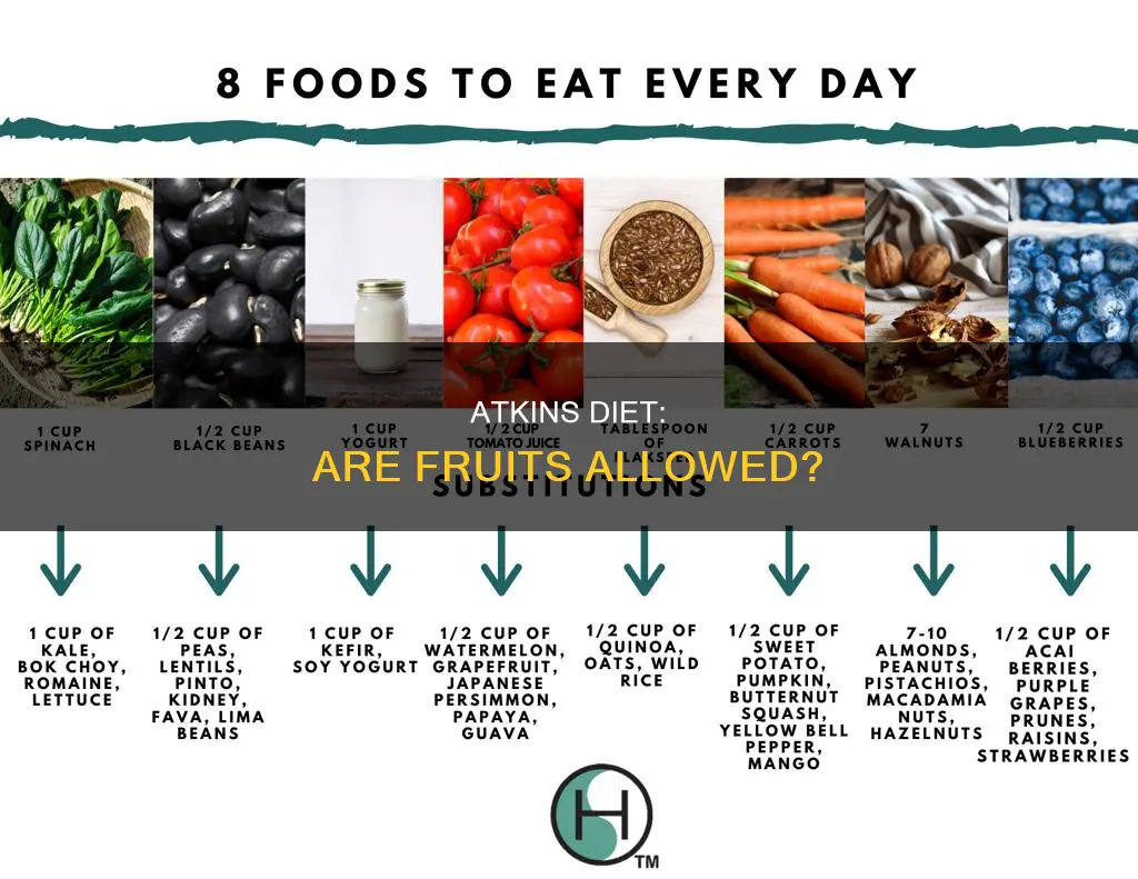 does atkins diet allow fruit