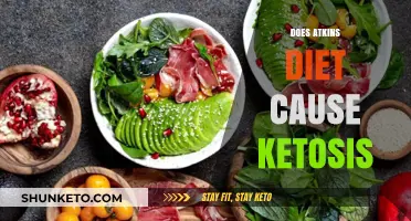 Atkins Diet: Ketosis Friend or Foe?