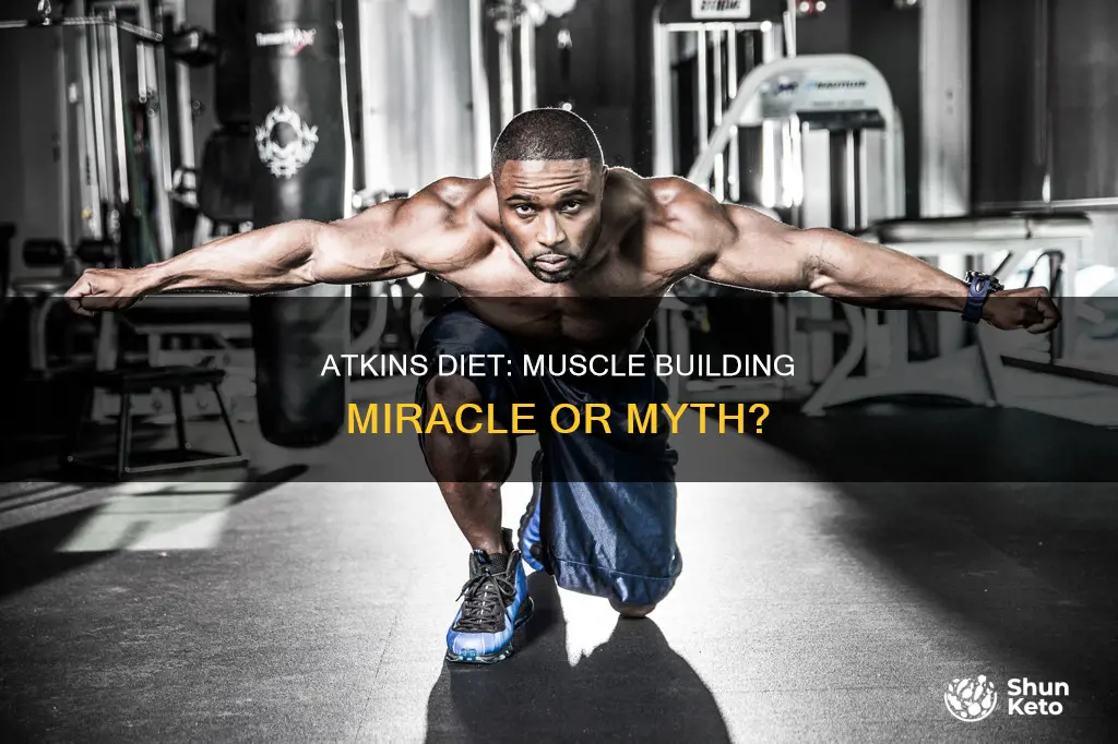 does atkins diet help build muscle