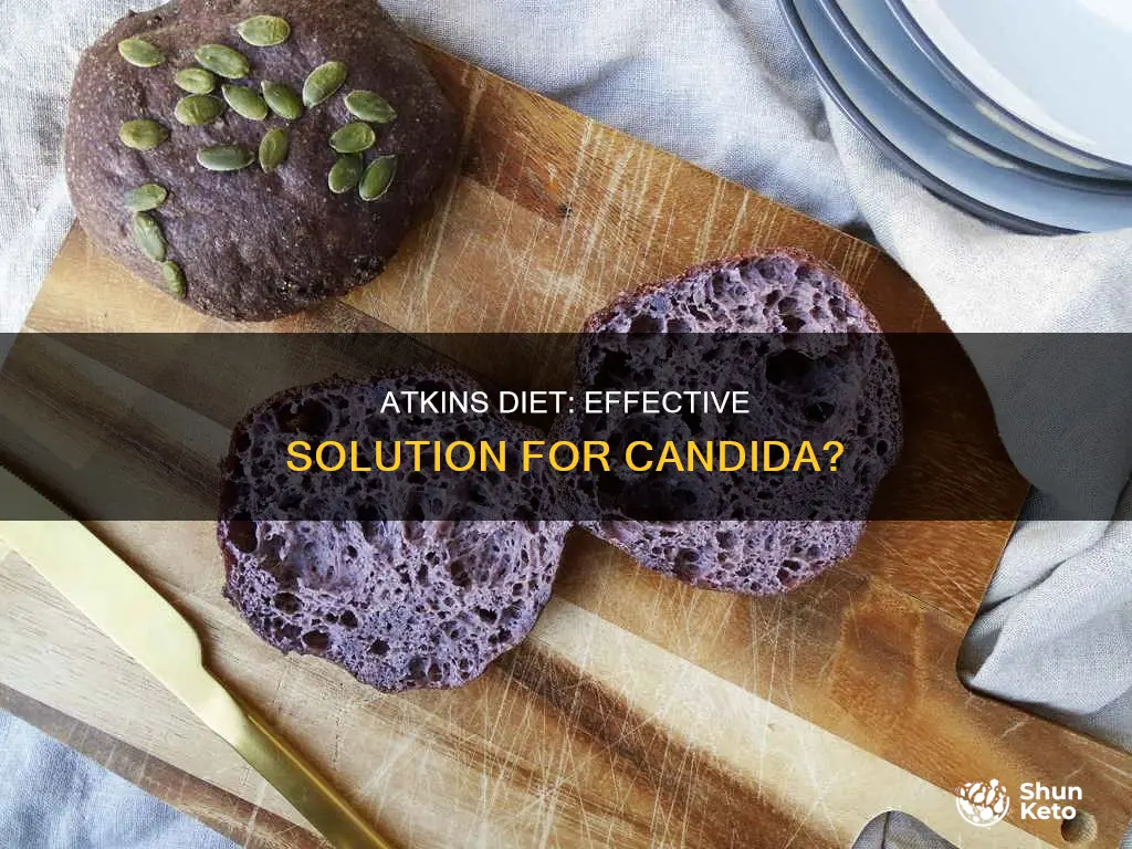does atkins diet help candida