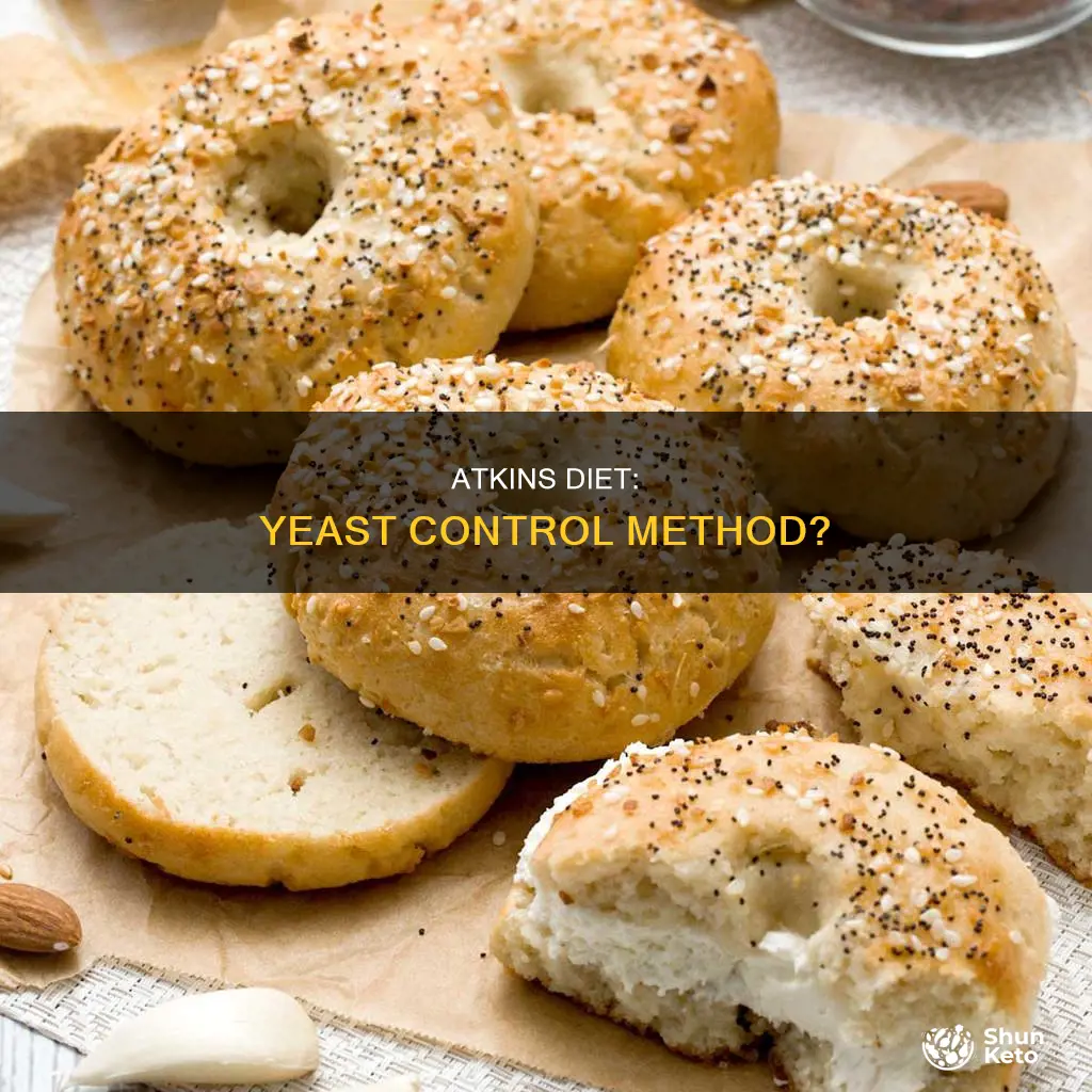 does atkins diet help control yeast