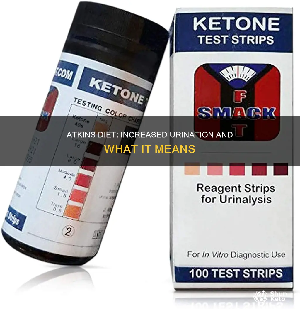 does atkins diet make you pee a lot