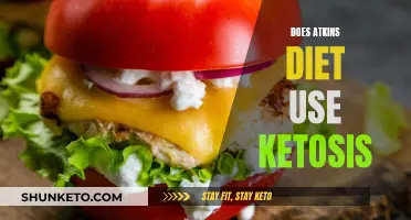 Atkins Diet and Ketosis: How Are They Linked?
