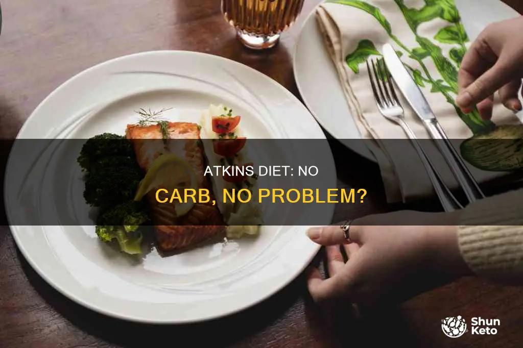 does atkins have no carbs diet
