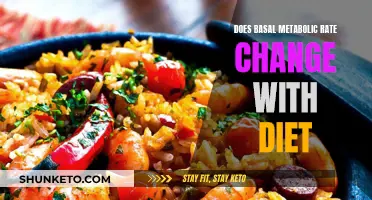 Basal Metabolic Rate: Diet's Impact and Your Health