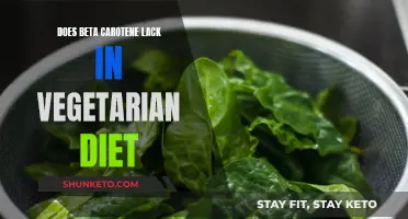 Beta-Carotene: A Vegetarian Diet's Missing Link?