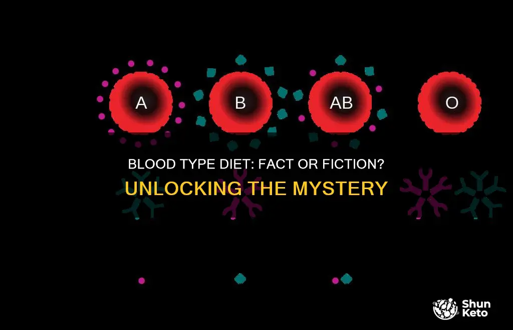 does blood type determine diet