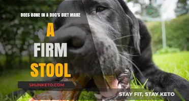 Firm Stools: Do Bones in Dog Diets Help?