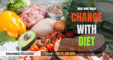 Diet's Impact on Bone Mass: What You Need to Know